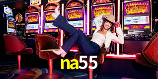 Interface Premium na55