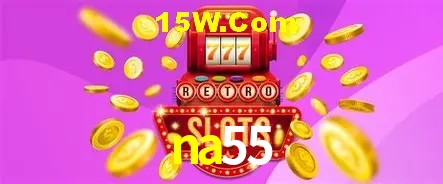 na55 - Support