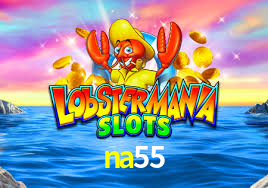 na55